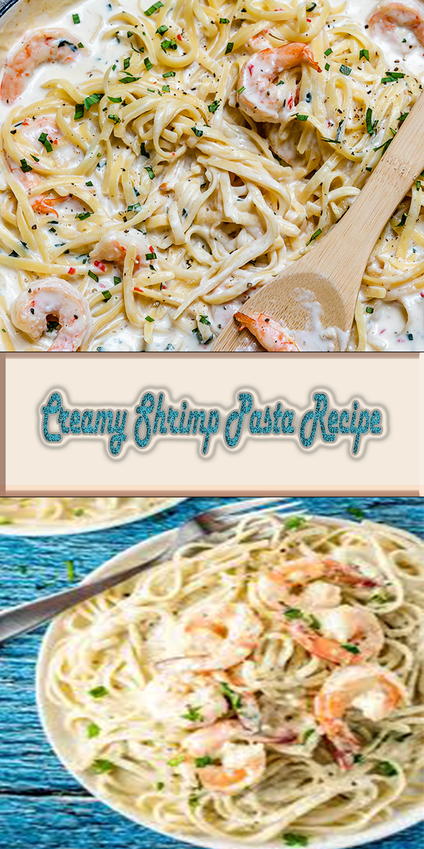 Creamy Shrimp Pasta Recipe – Delicious Foods Around The World