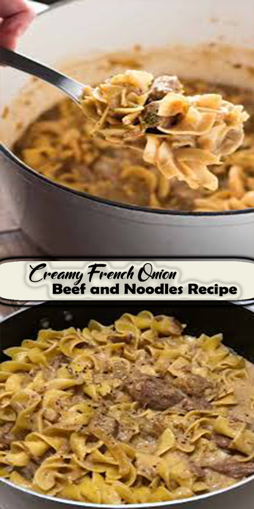 Creamy French Onion Beef and Noodles Recipe Delicious Foods Around